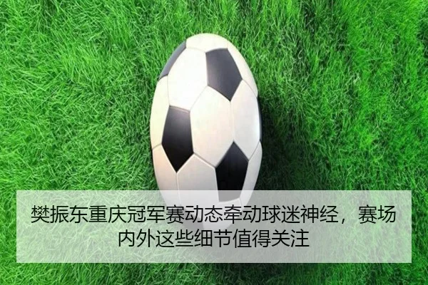 樊振东重庆冠军赛动态牵动球迷神经，赛场内外这些细节值得关注